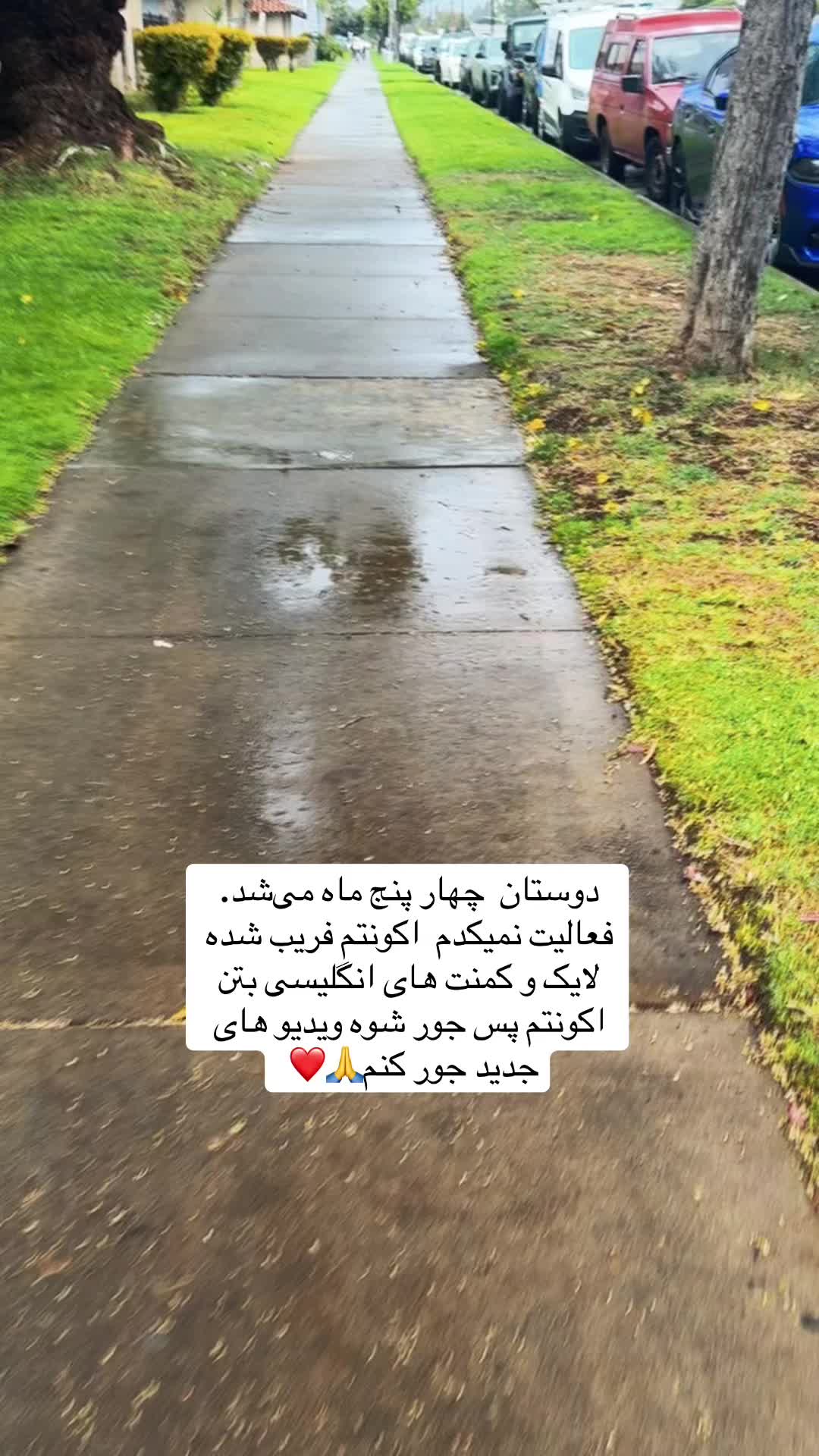 @🎀پیشوگک🎀
