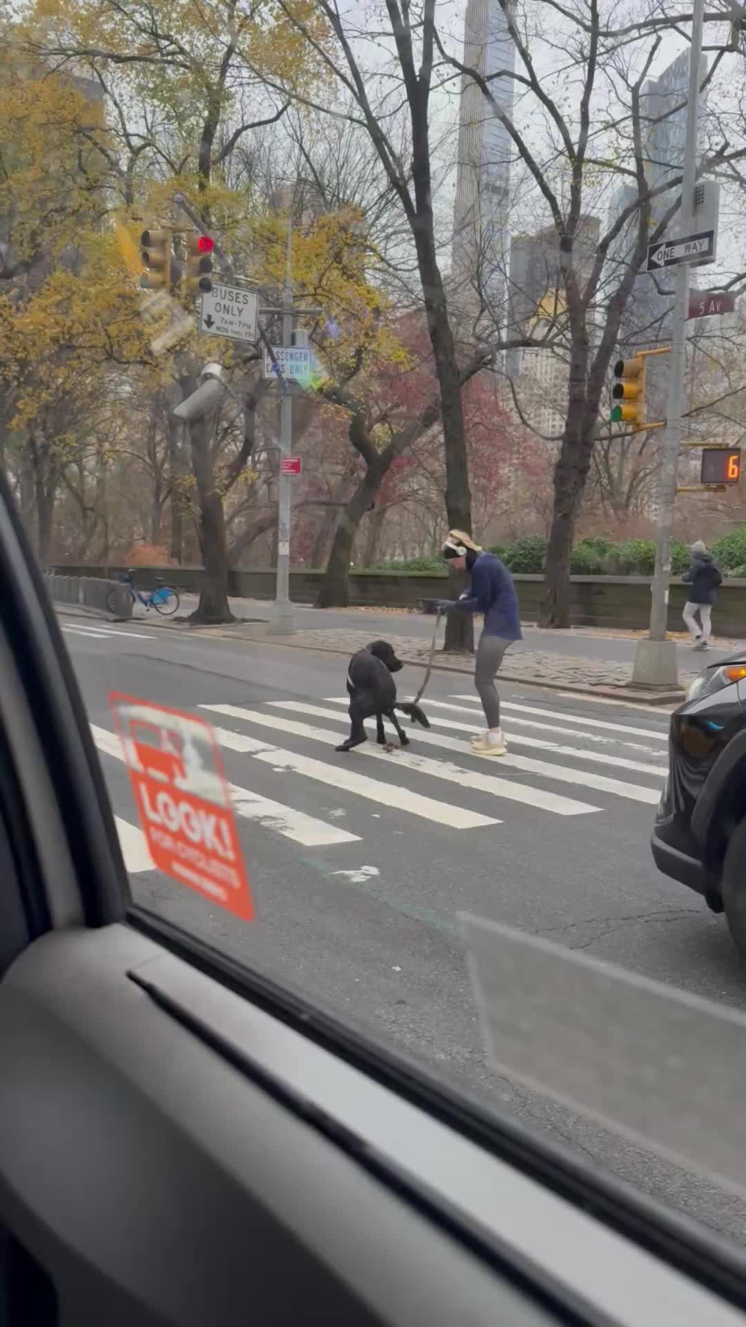 @WhatIsNewYork