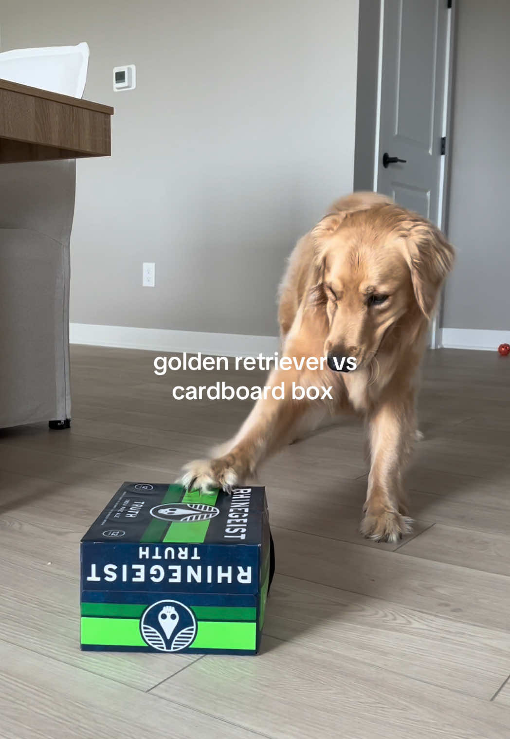 @novathegoldenn