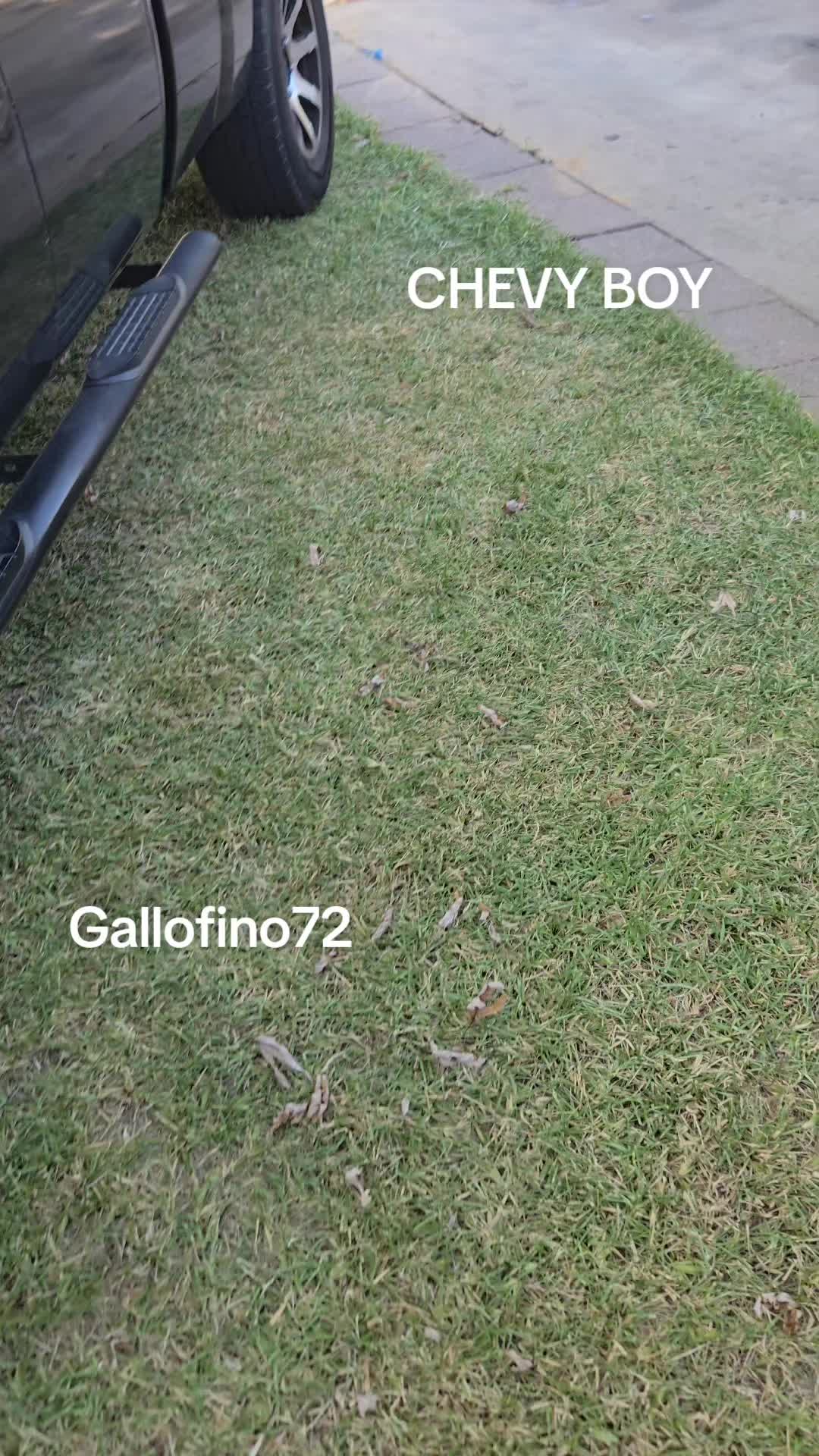 @ElGalloFino