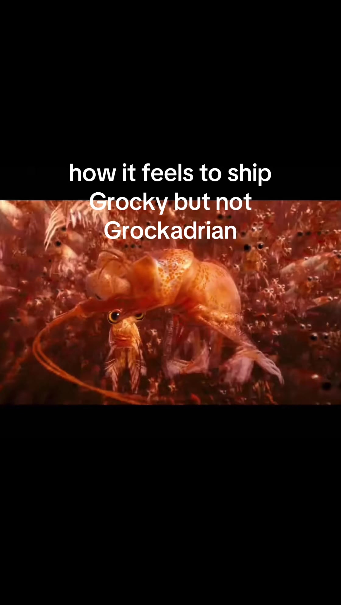@Ava