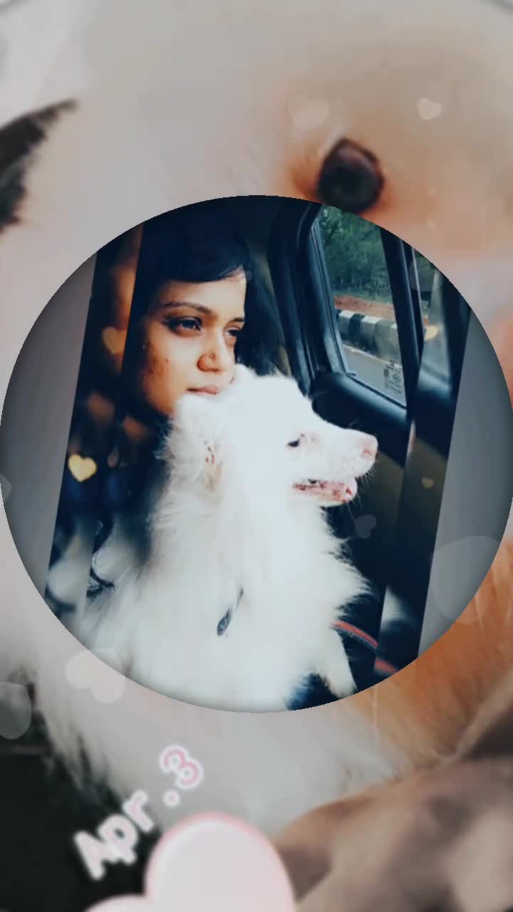 @aishu