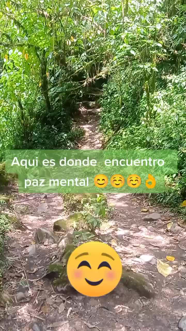@lexerojj