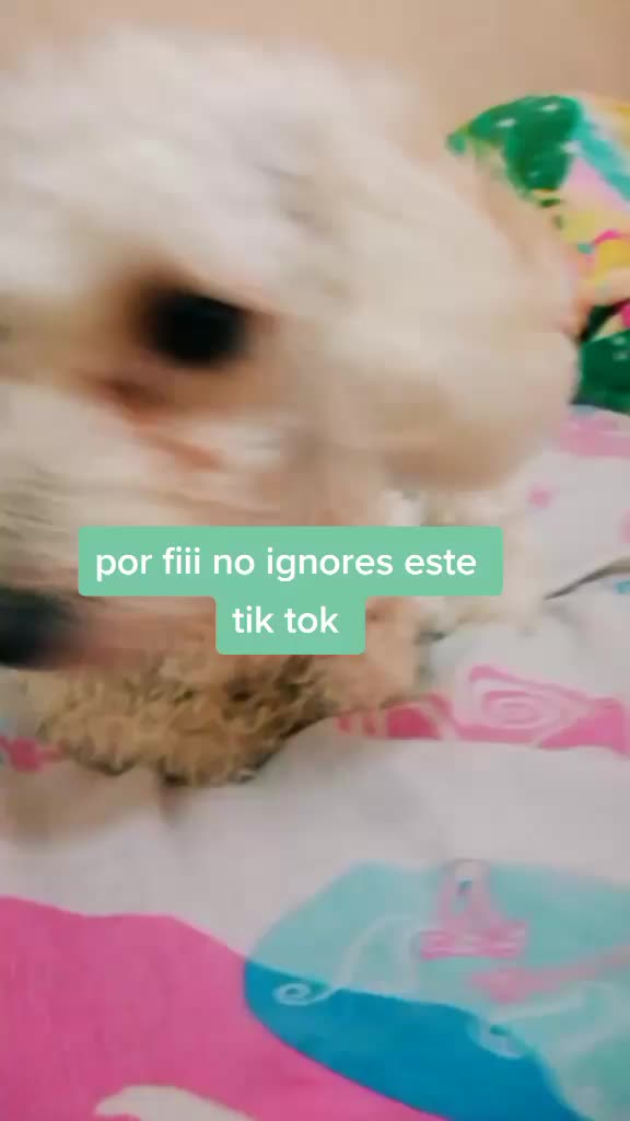 @Princesadulce&mdash;