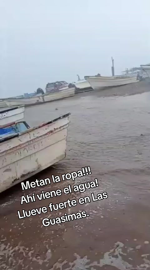 @elportaldelanoticia