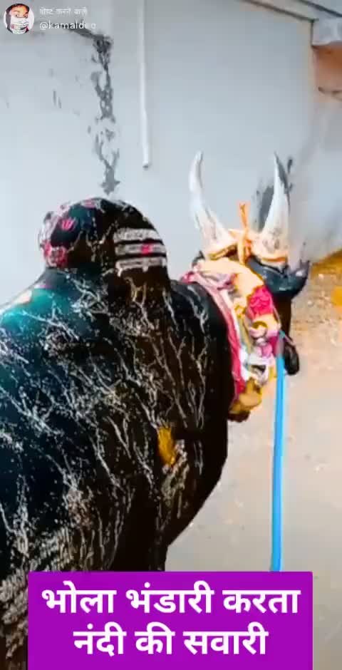 @user9601468653343