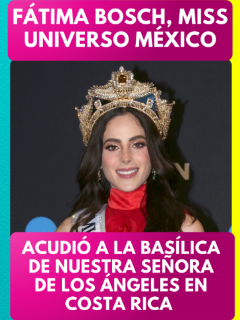 @Revista TVNotas