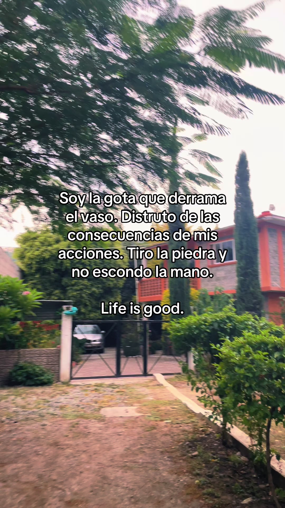 @Elverth Castillo
