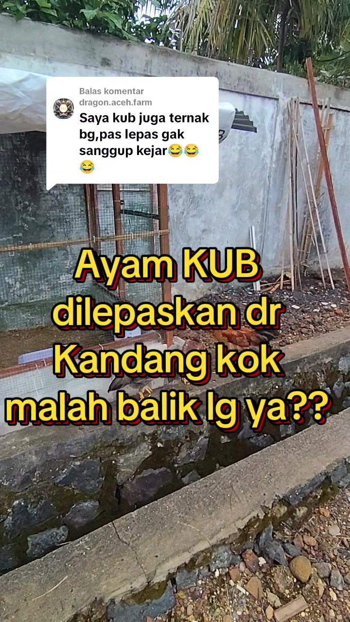 @Prasetya