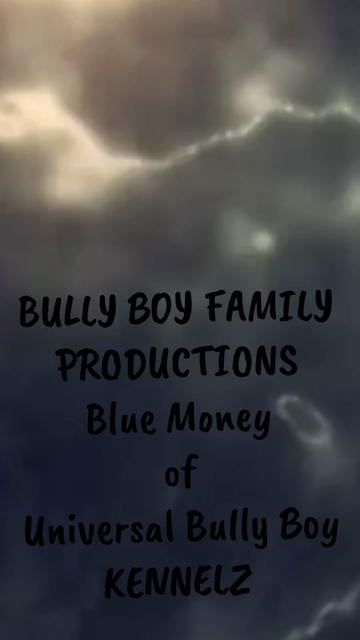 @BULLY BOY FAMILY PRODUCTIONS