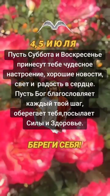 @natalya74region