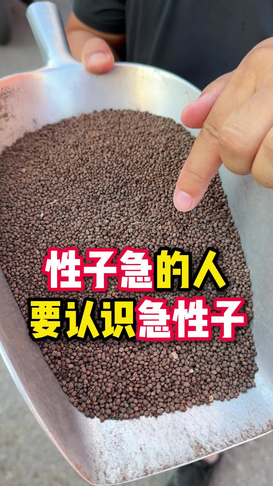 @大头说滋补