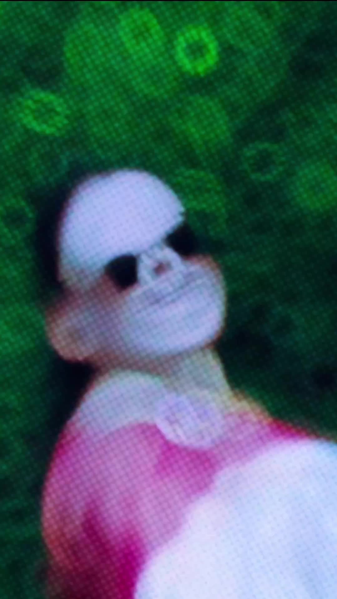 @bindu