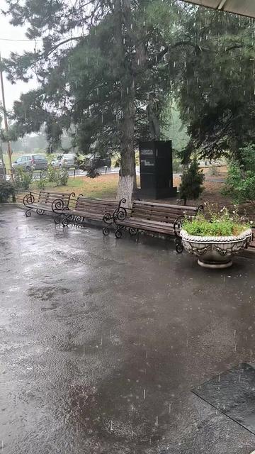 @Светлана Толстикова