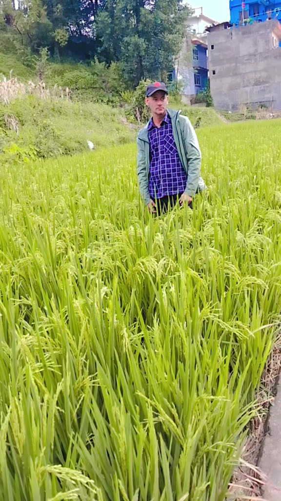 @Suraj Khadka