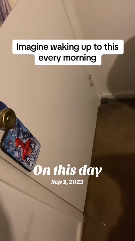 @thetrueking508