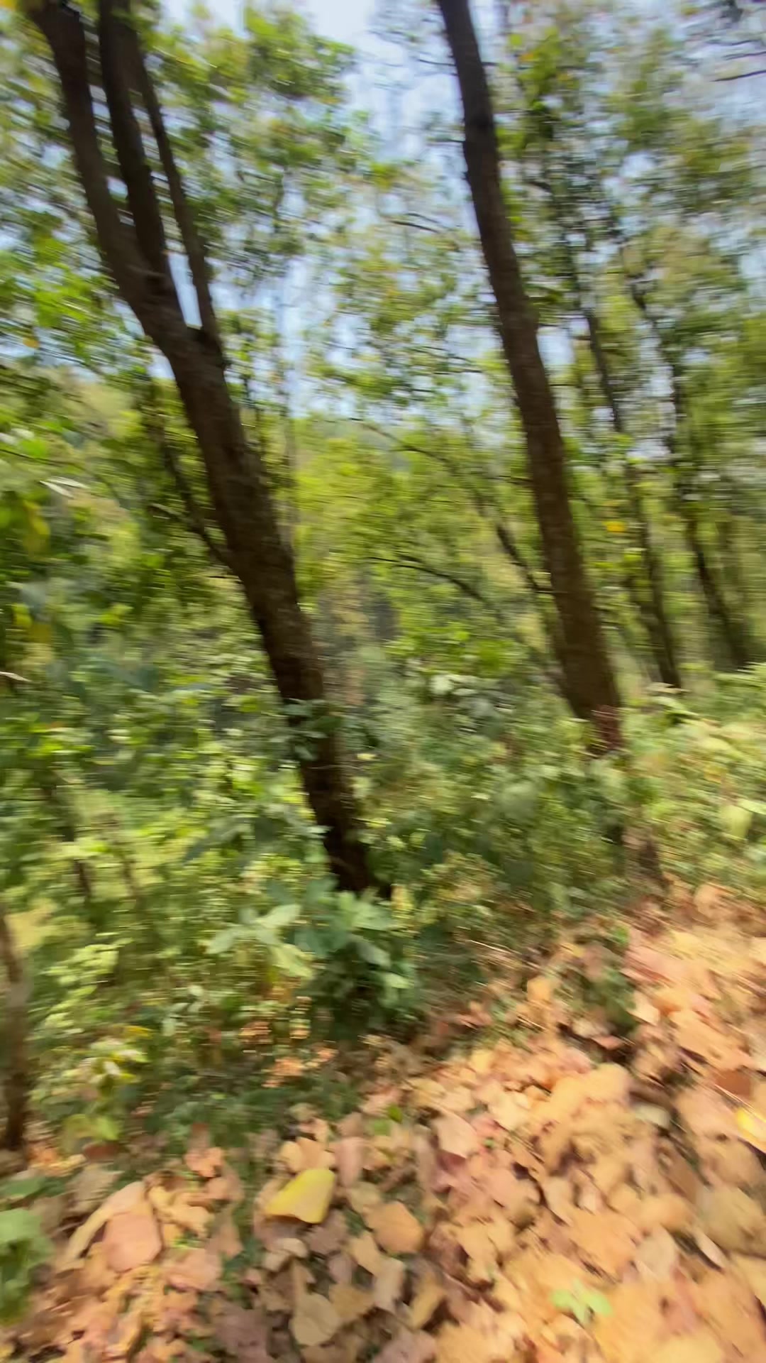 @निराजन बखरिया 
