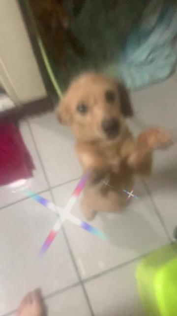 @返璞歸真做自己