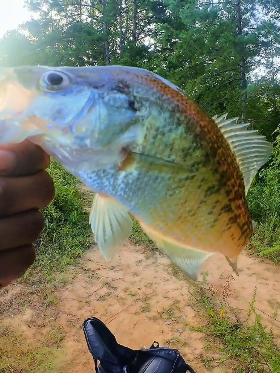 @BIGG BOYY FISHING