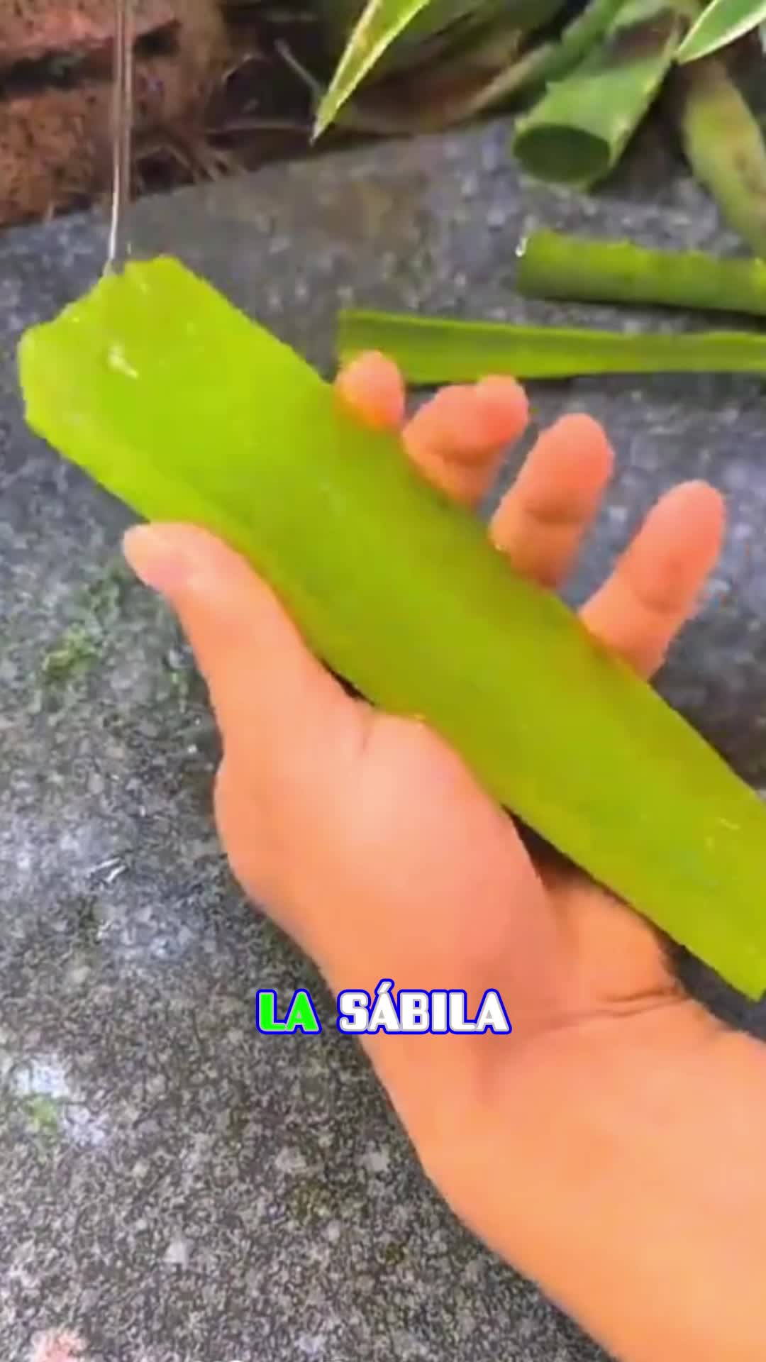@dotorlinaturall