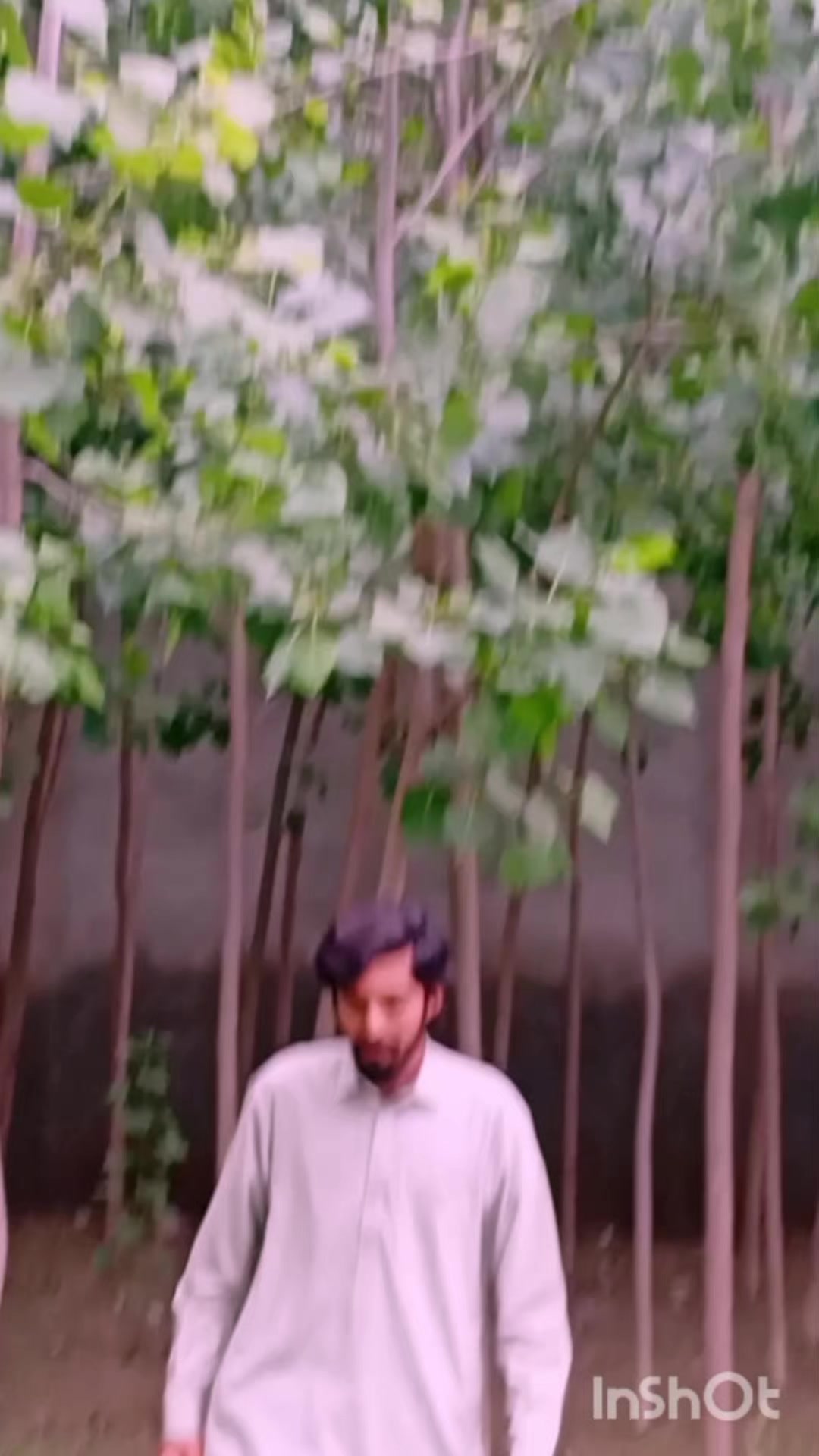 @ℍ𝕒𝕤𝕤𝕒𝕟 𝔸𝕝𝕚