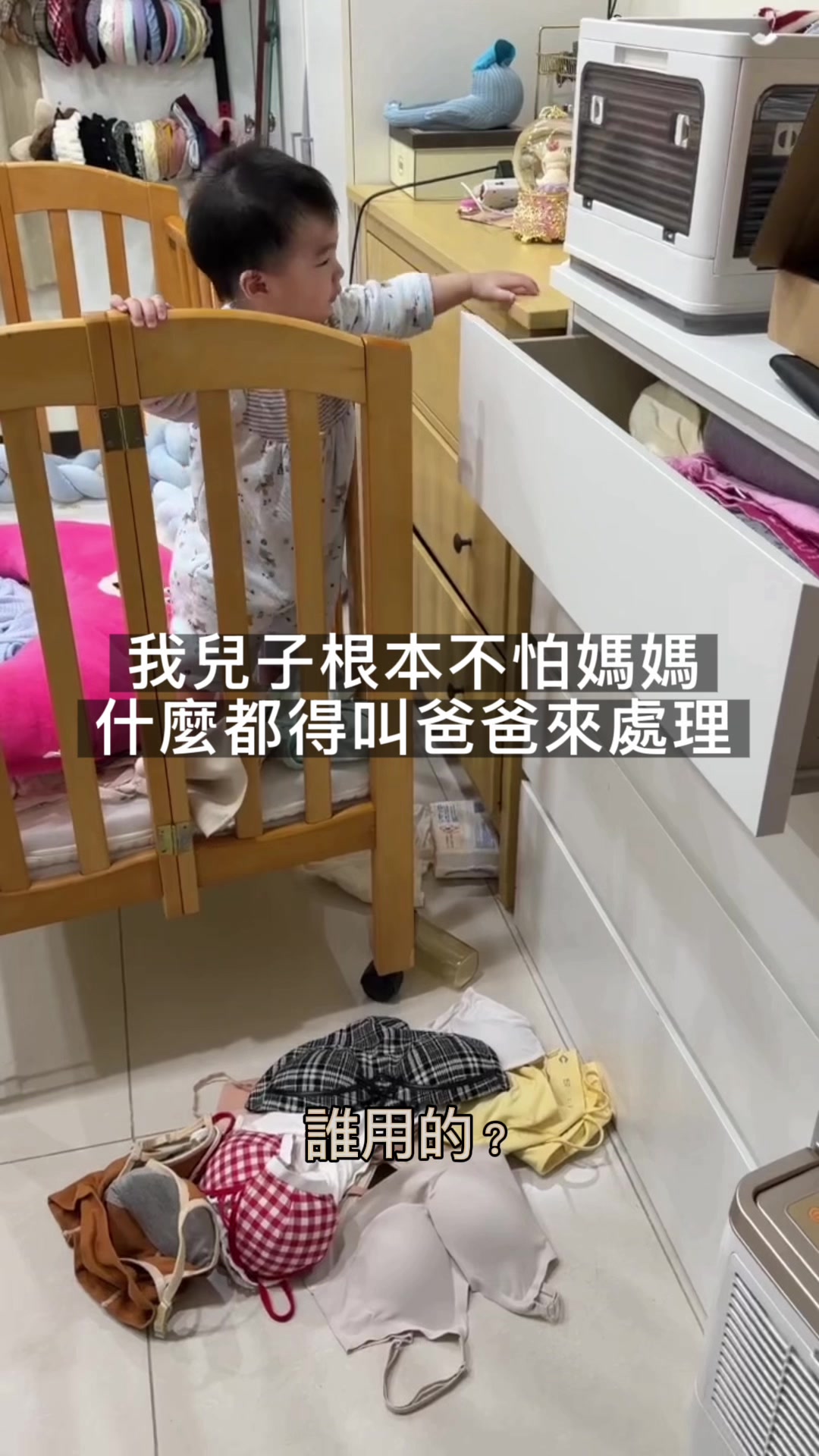 @張皮皮🐾（12貓2娃）