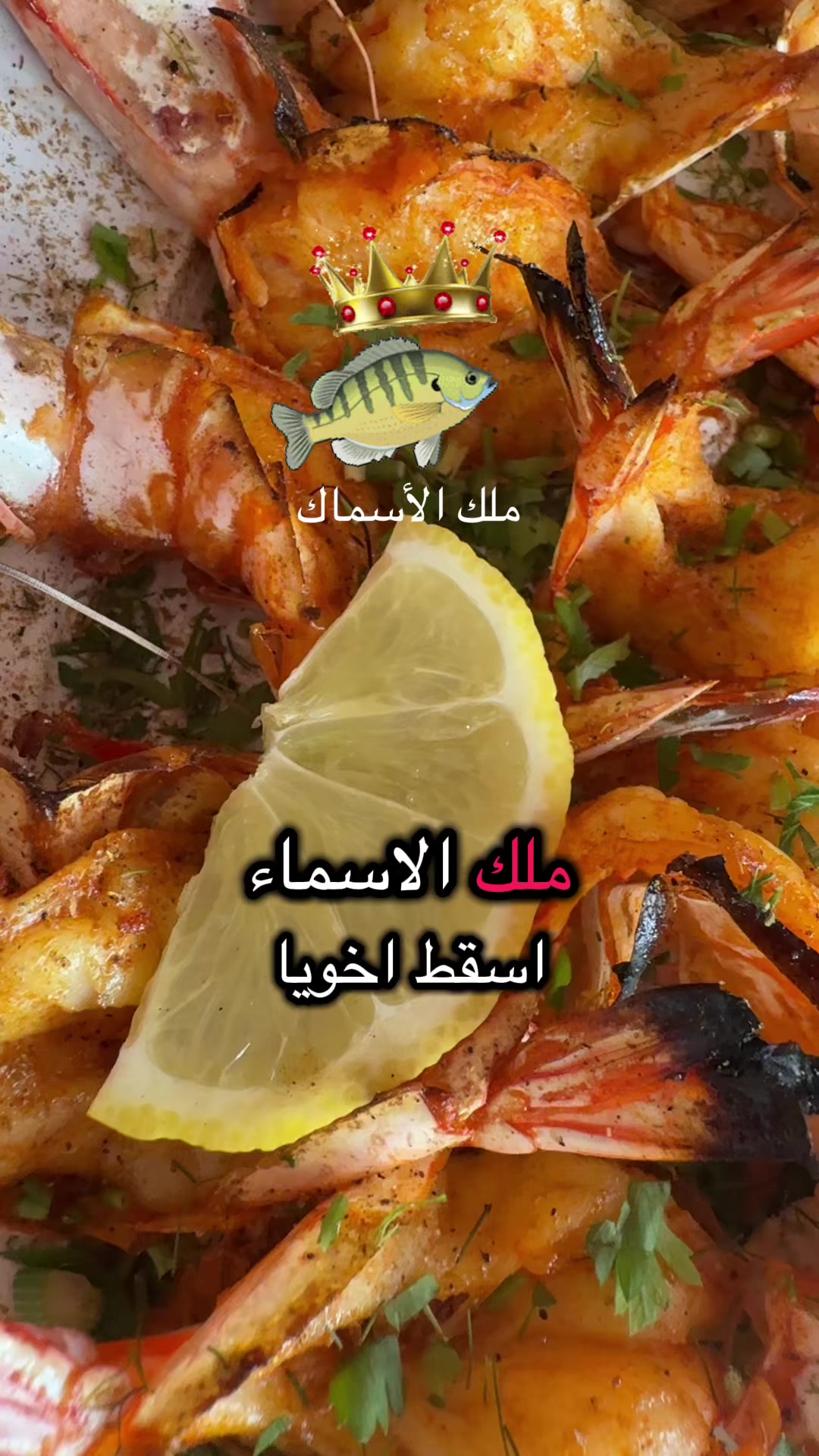 @KING FISH 🇴🇲 مـلـك الأســماك