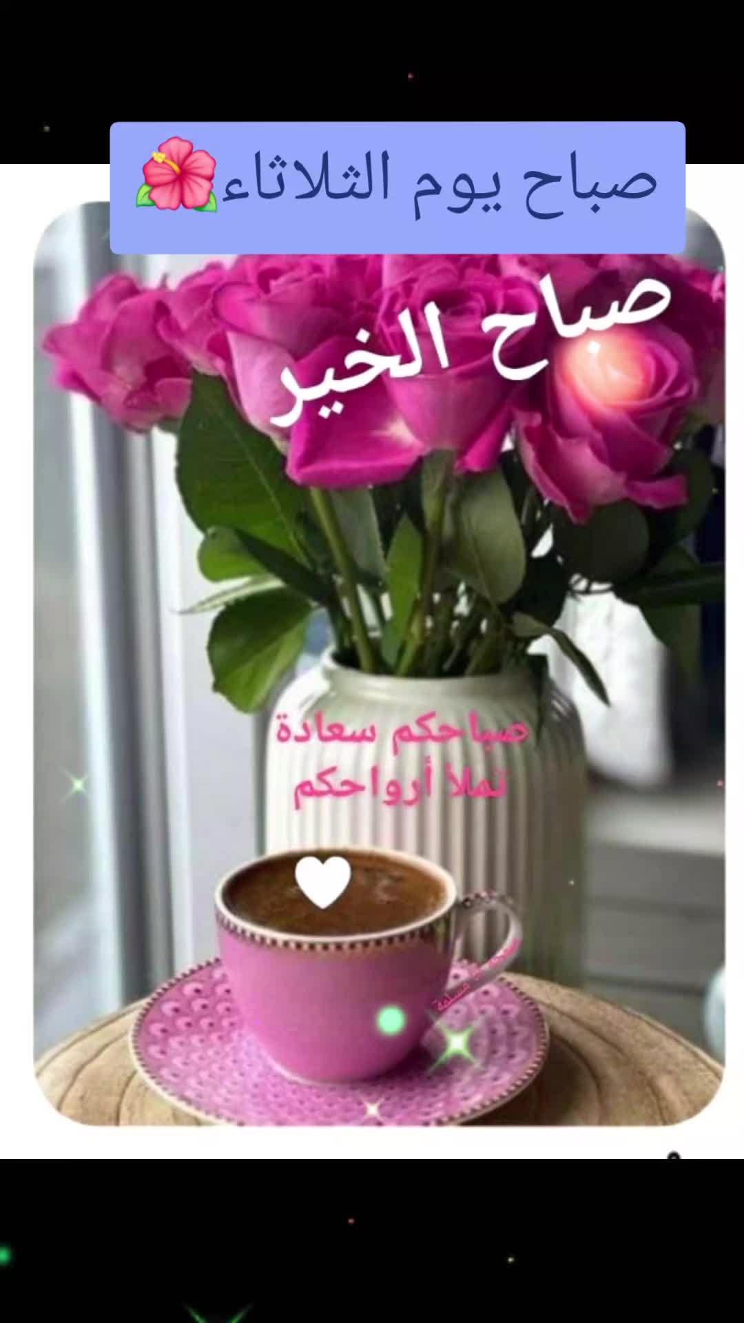 @حديقة الورد🌷🌷