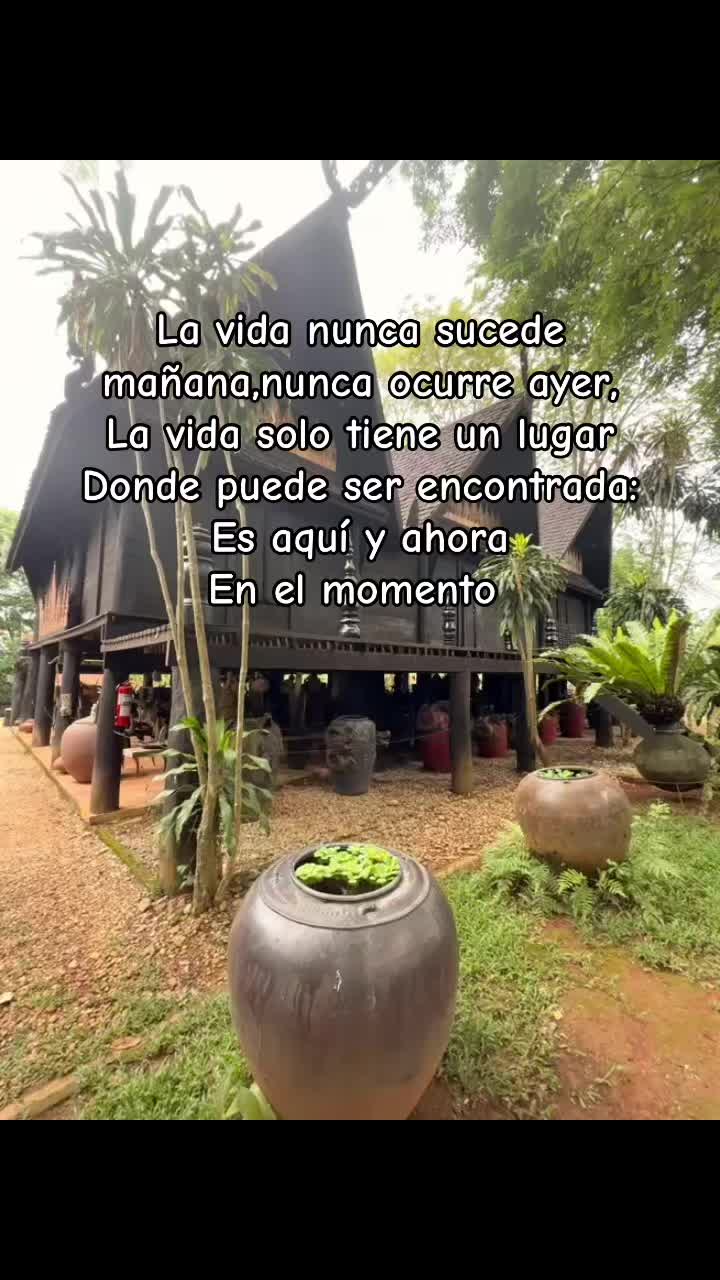 @Lizeee
