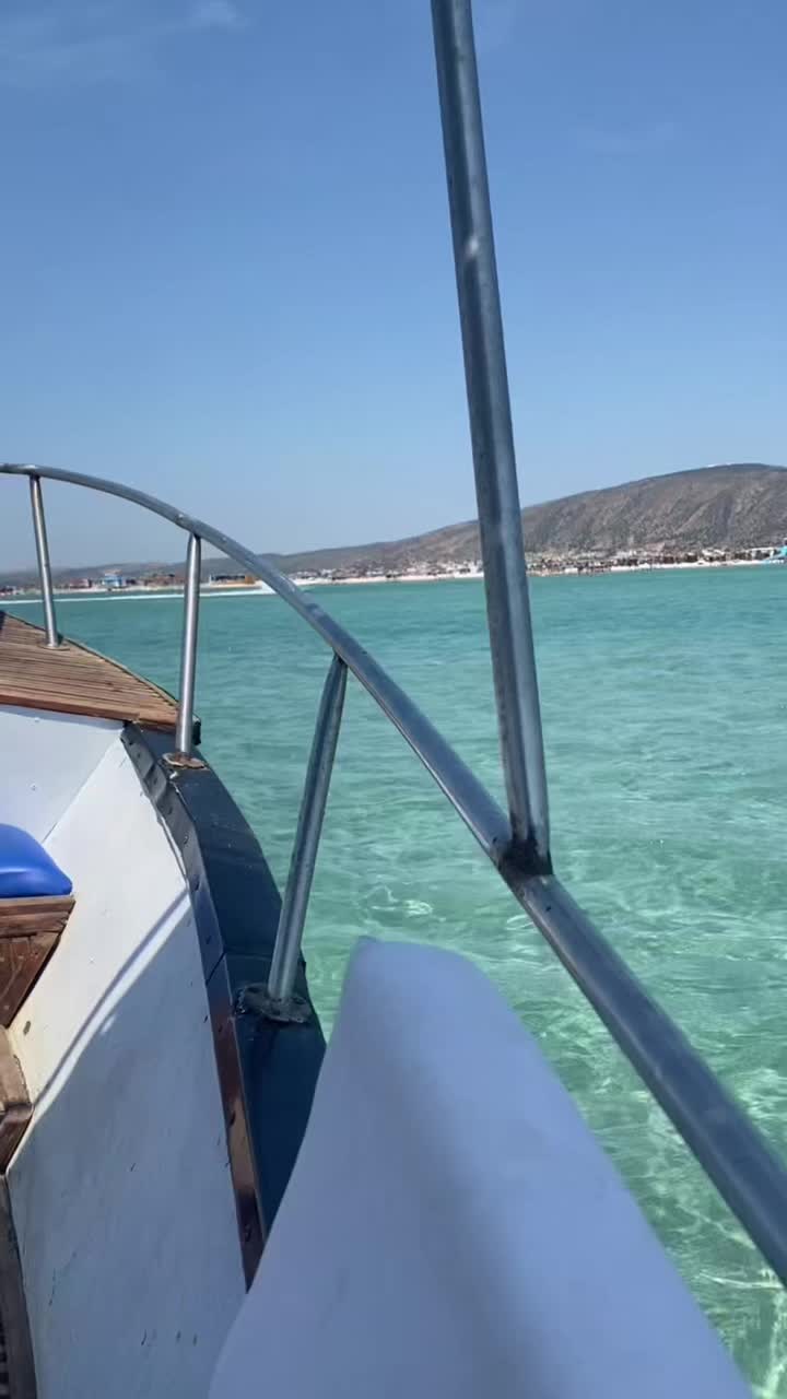 @L_tunigerienne🇹🇳🇩🇿