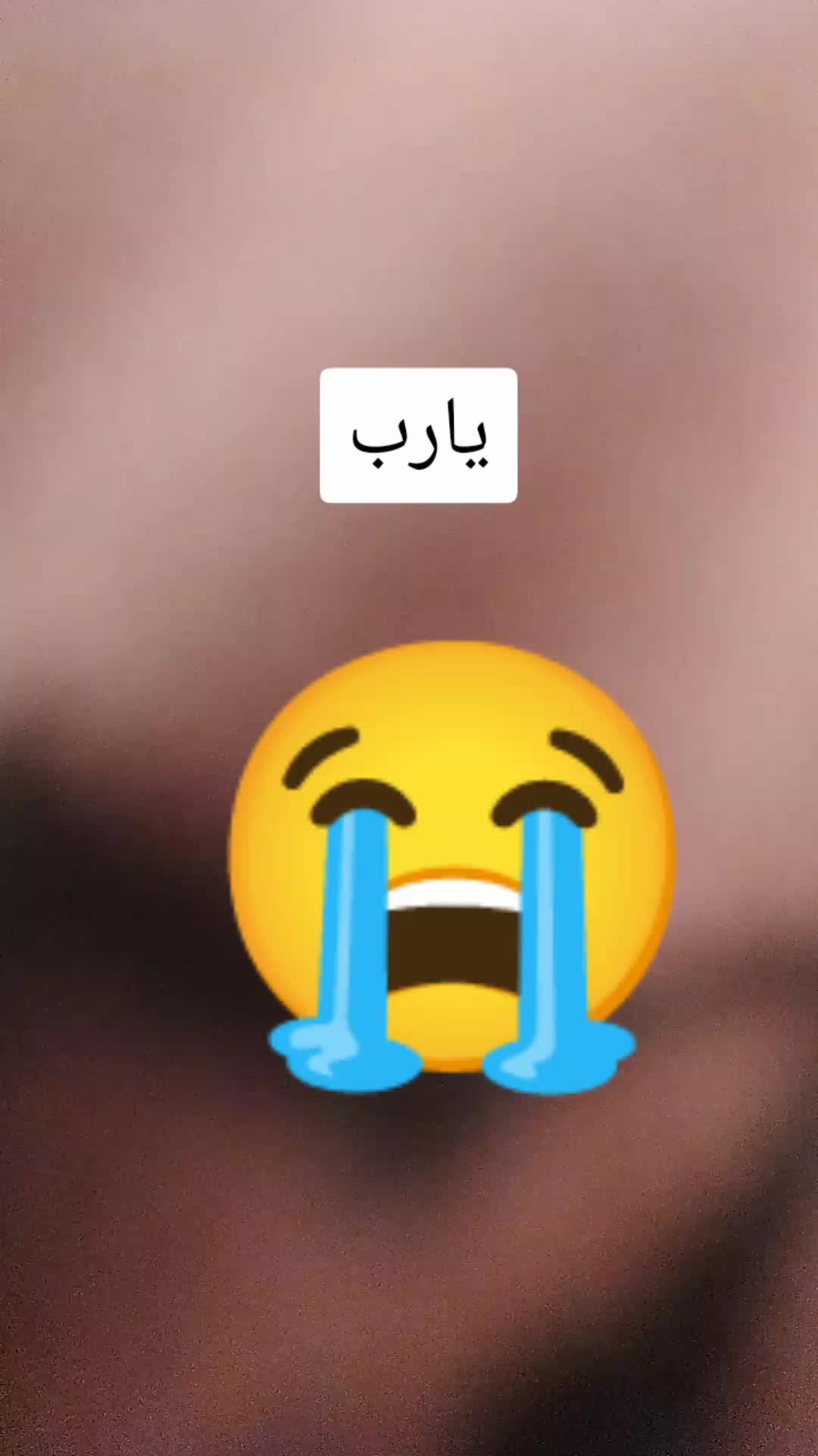 @user99215537532