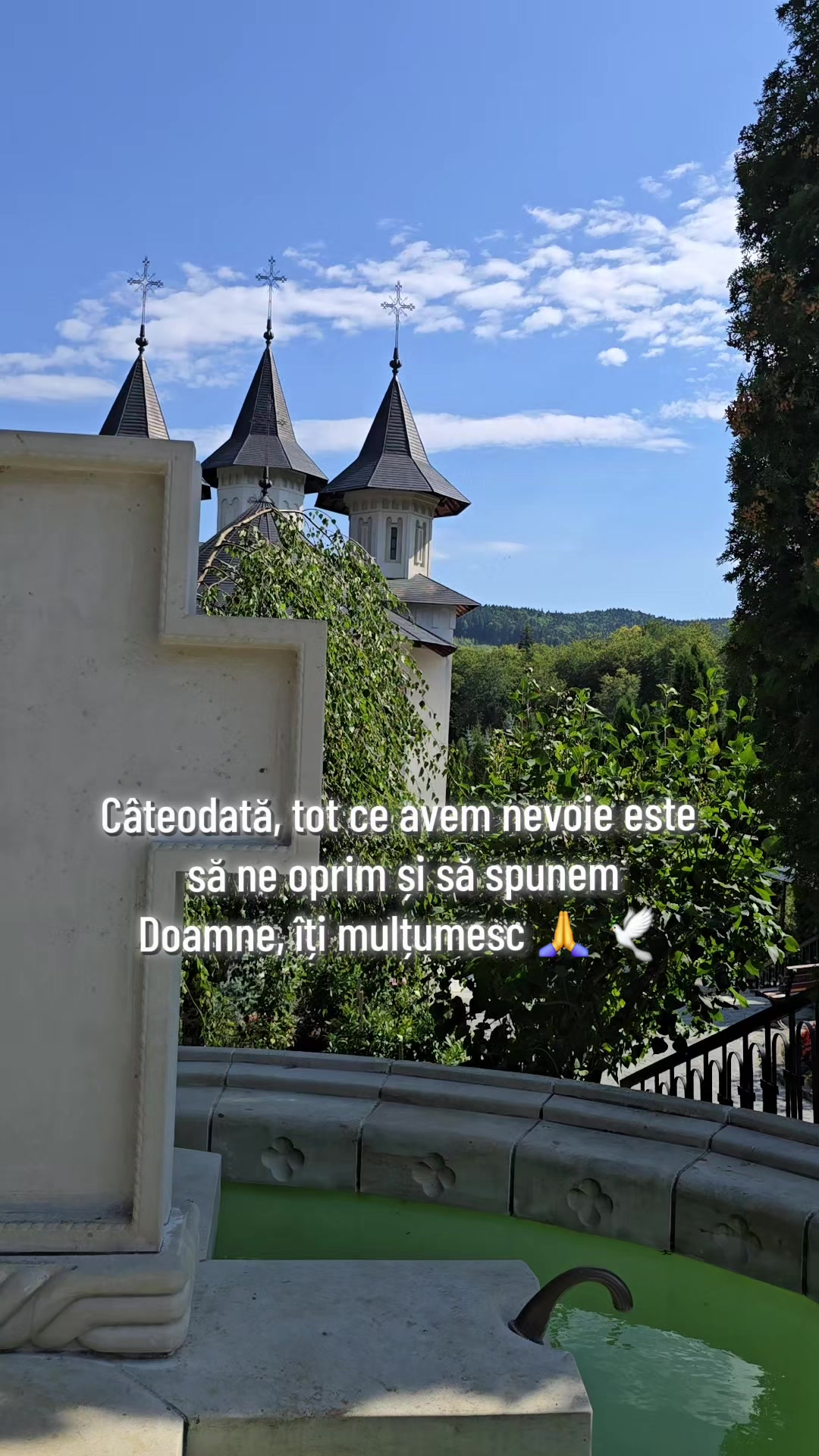 @Anca Delia Groza