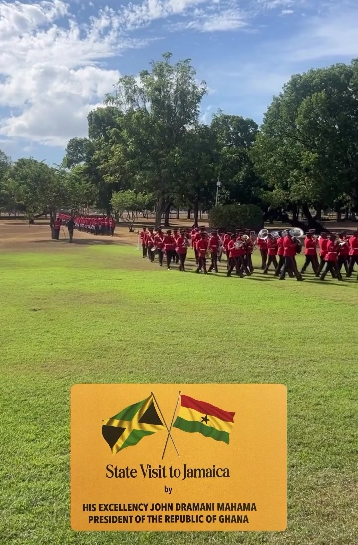 @FOR🐊AMUSEMENT🇯🇲ONLY🐊
