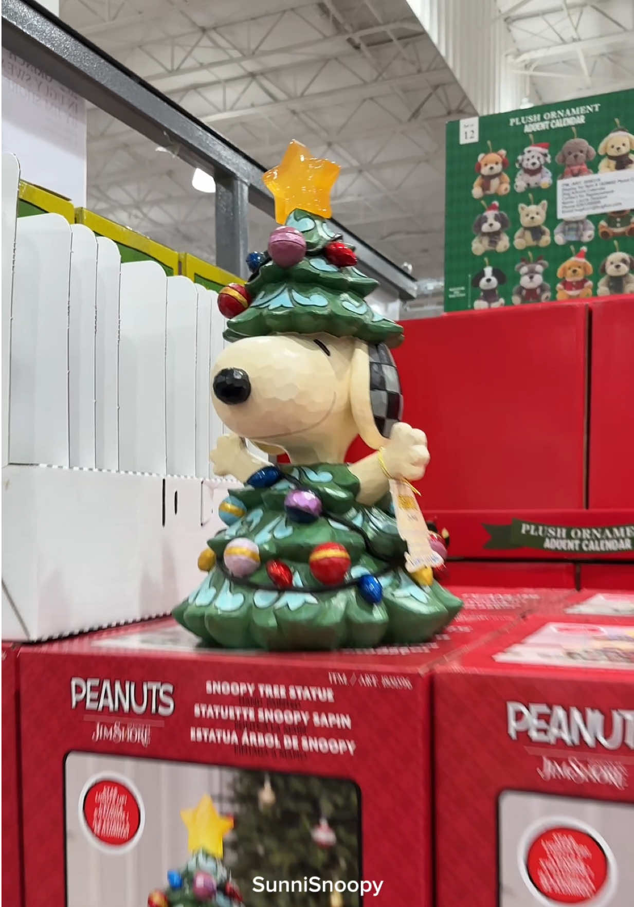 @SunniSnoopy | PEANUTS