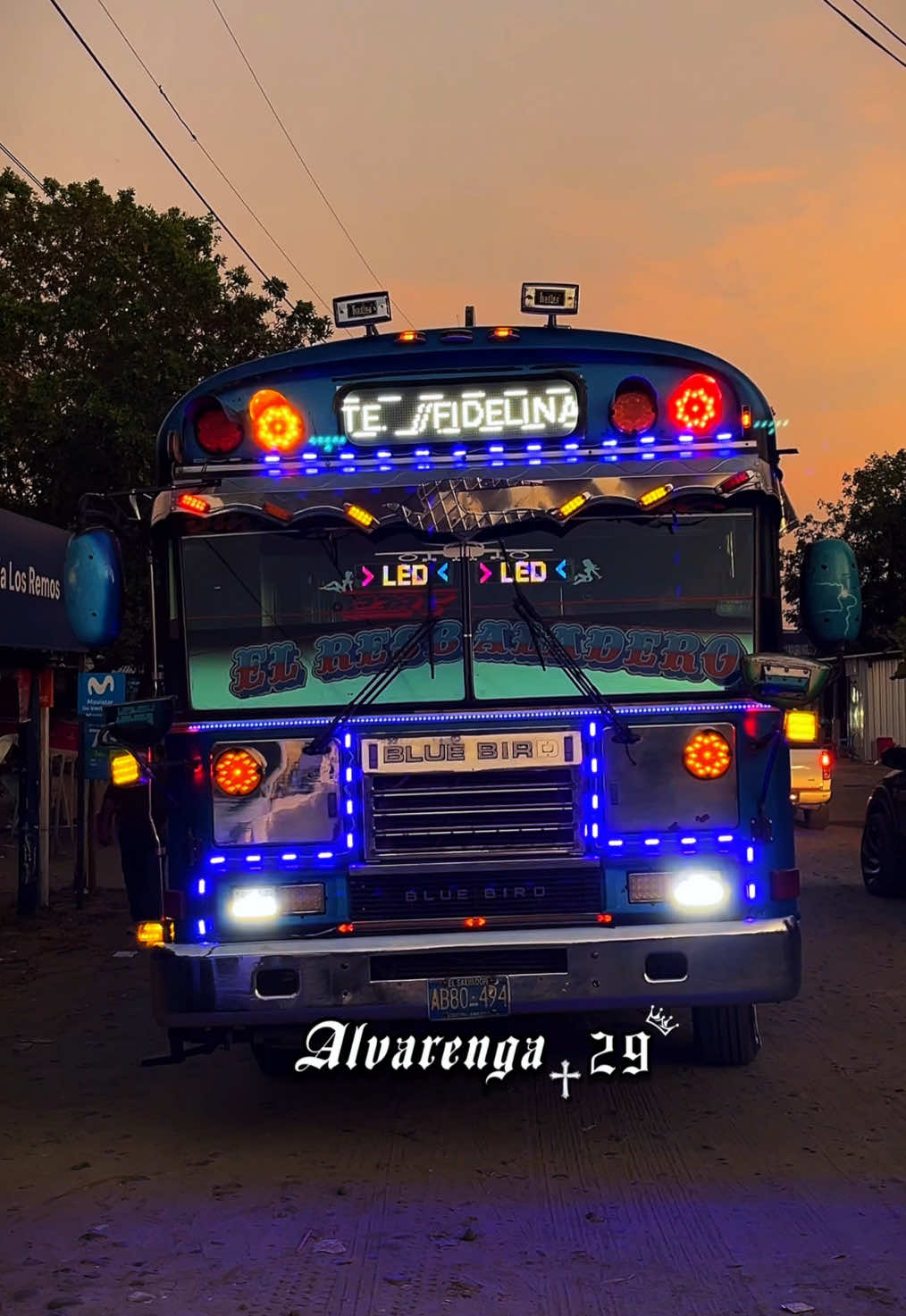 @𝐀𝐋𝐕𝐀𝐑𝐄𝐍𝐆𝐀_29