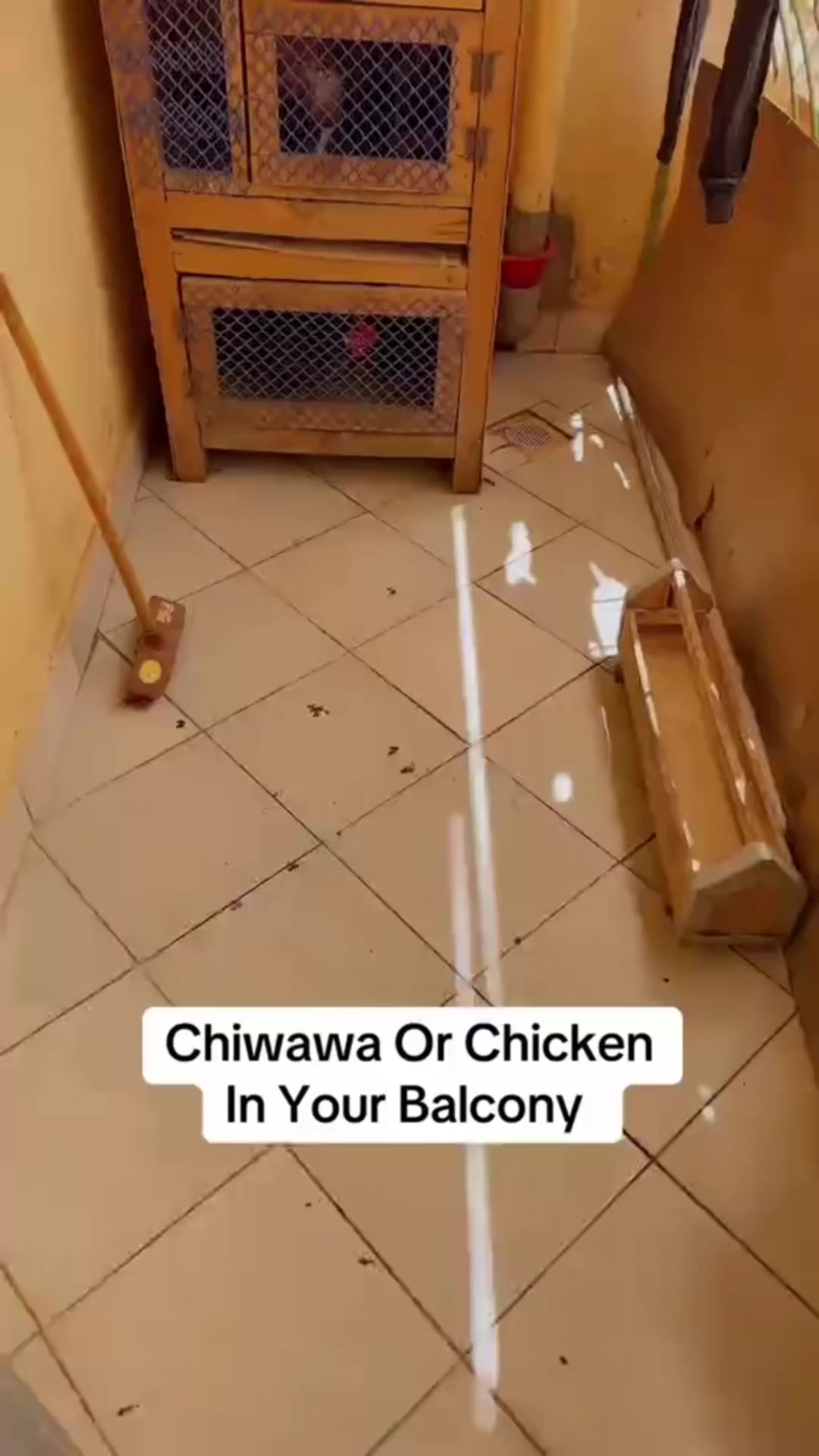 @CHESONI