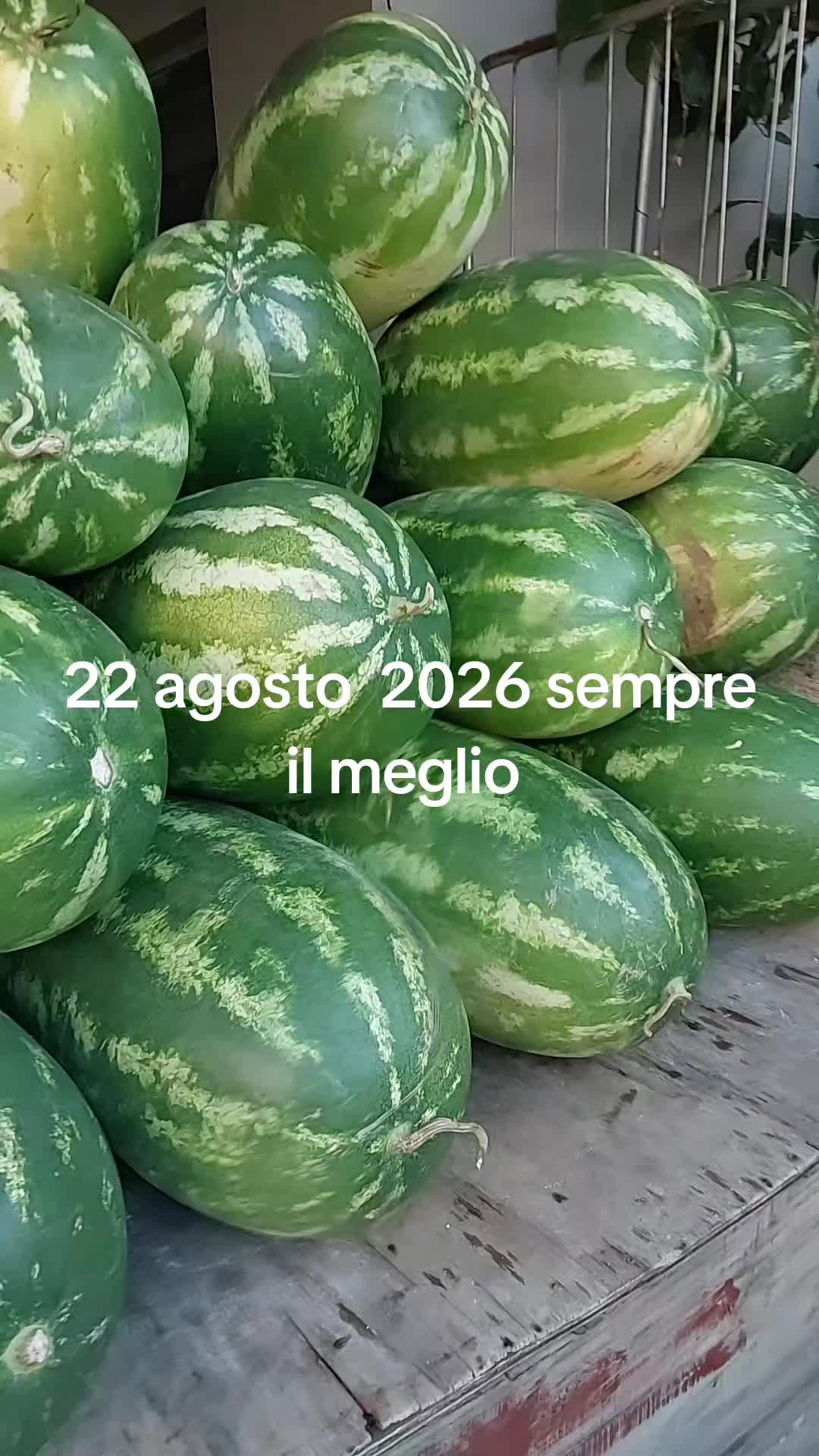 @Gino Marro