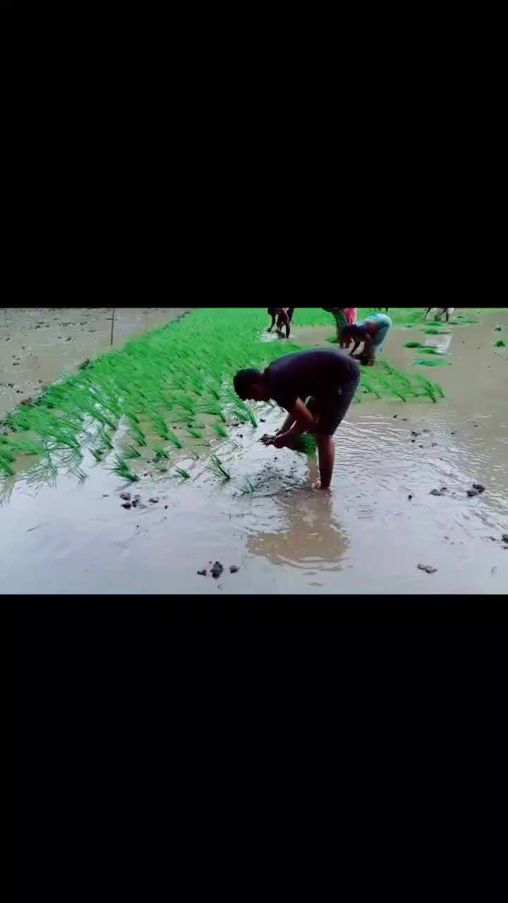 @Sagar Patil