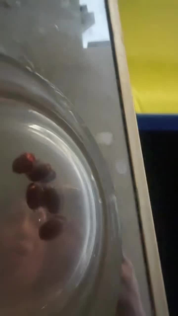 @G0dd3ss.m3