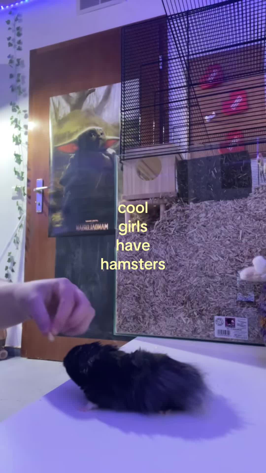 @annika🪽