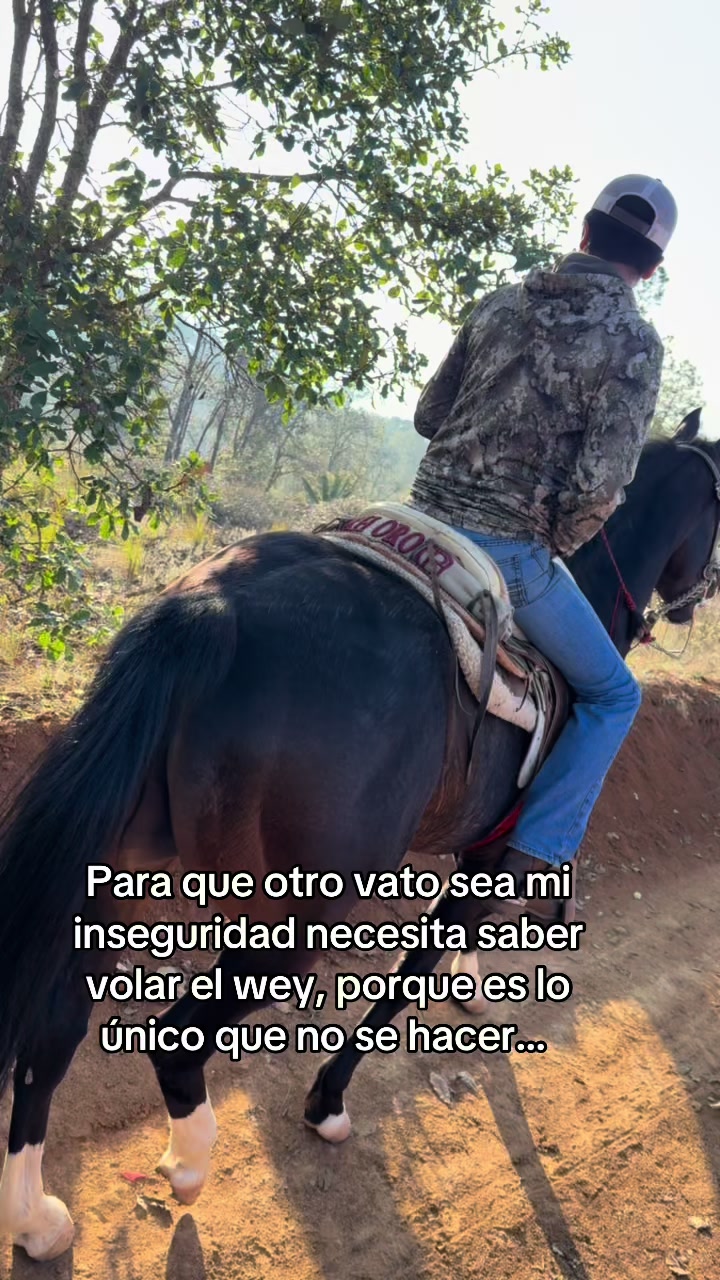 @El compa Javi