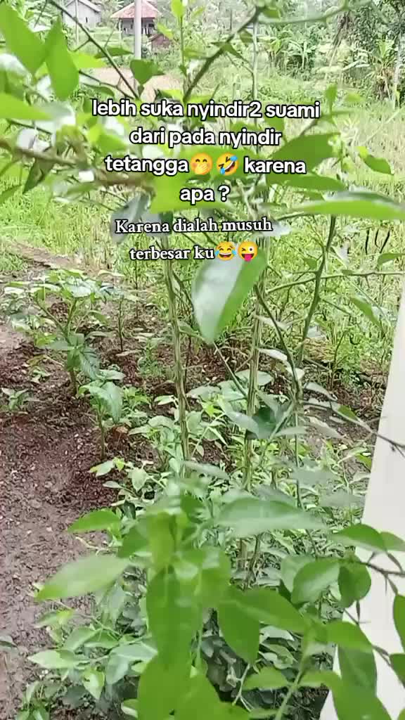 @issAjj