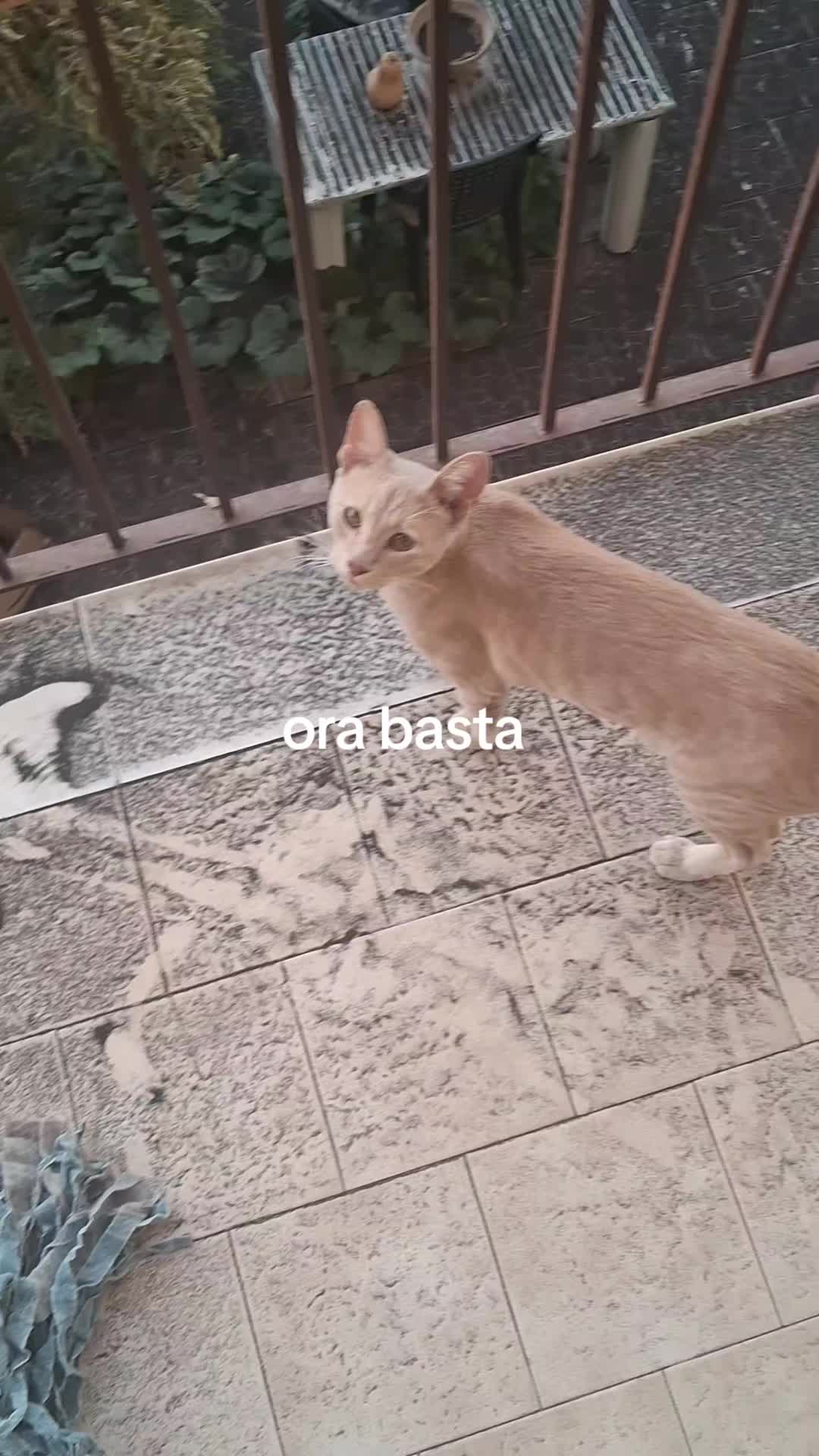 @๐โโก~~Nunzia~~โกโ๐