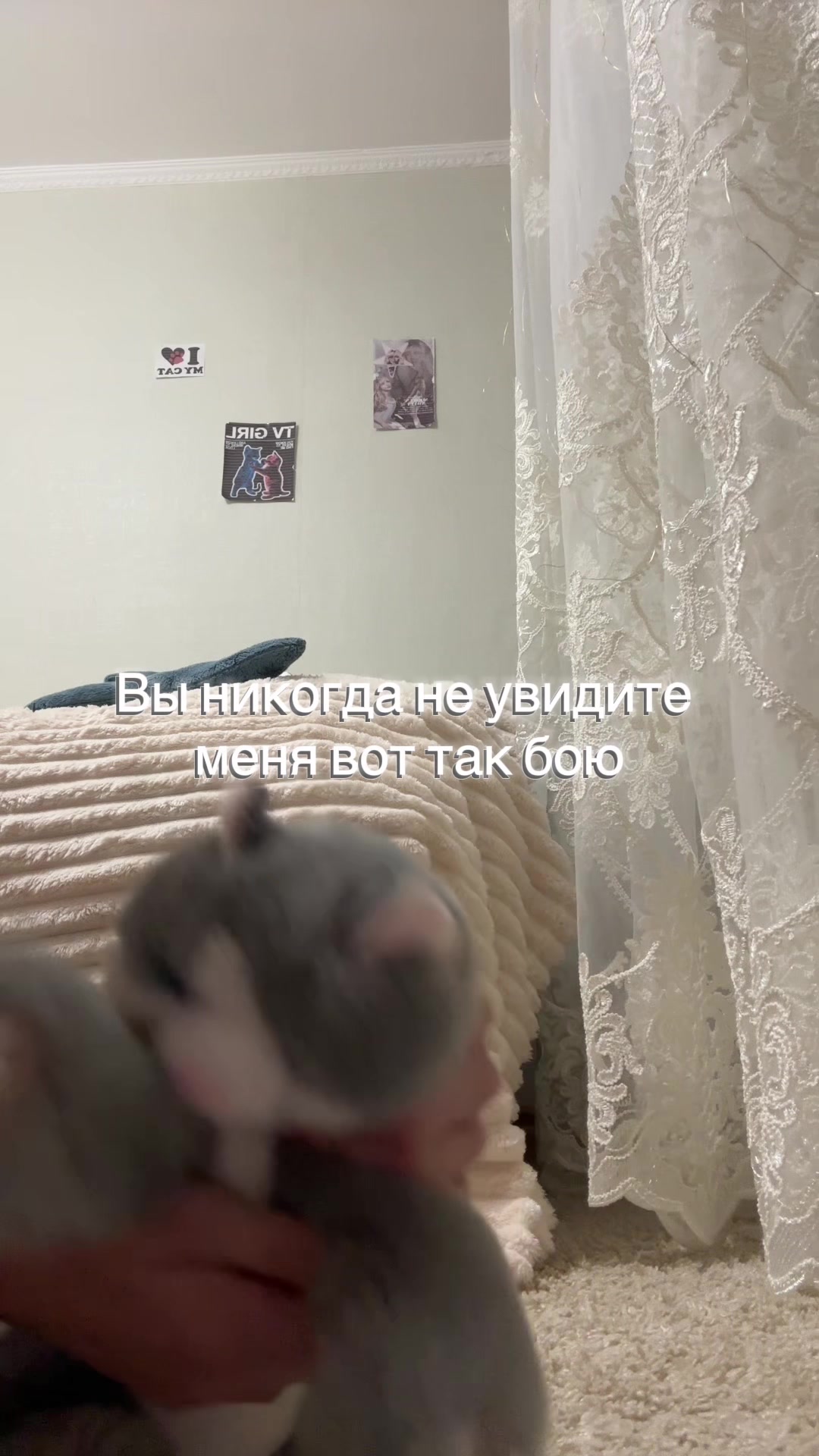 @˚₊‧꒰ა⸰𝙼𝚎𝚕𝚞𝚛𝚒˚໒꒱ ‧₊˚ ┆ᴘᴅʙ