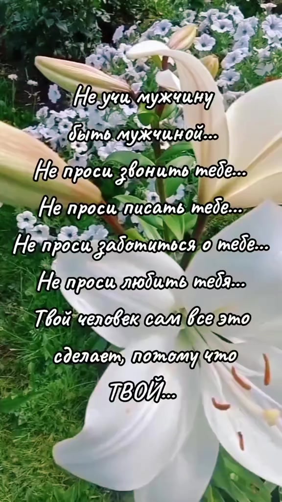 @Марина 🌹