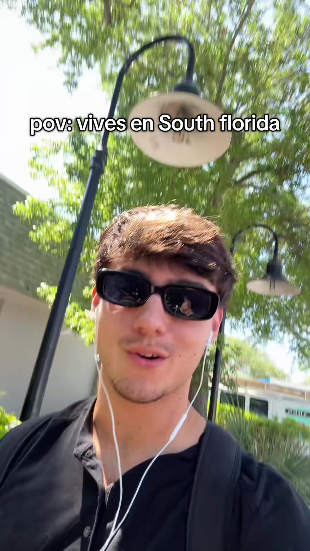 @mendiolaenusa