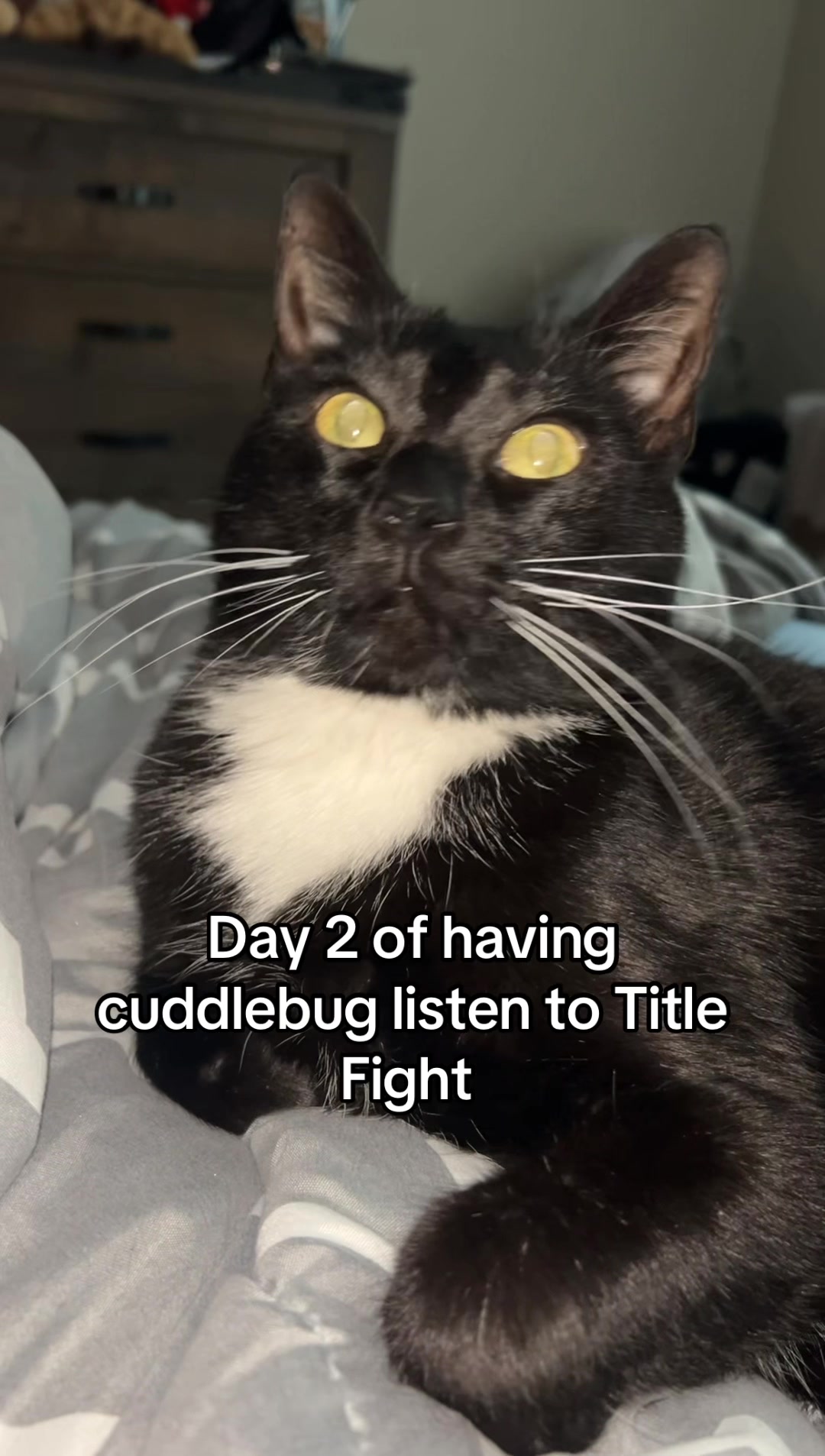 @CuddleBug