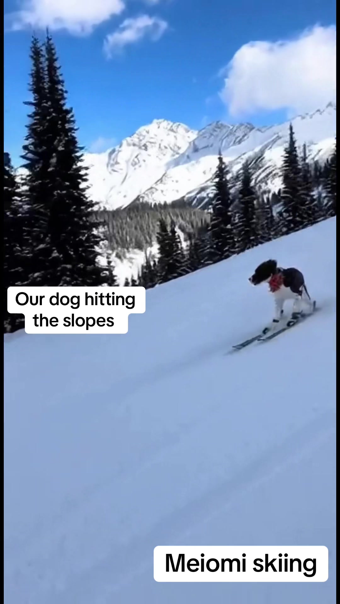 @KIᖇᗩ ᔕᒪᗩᗷᗩᑌGᕼ