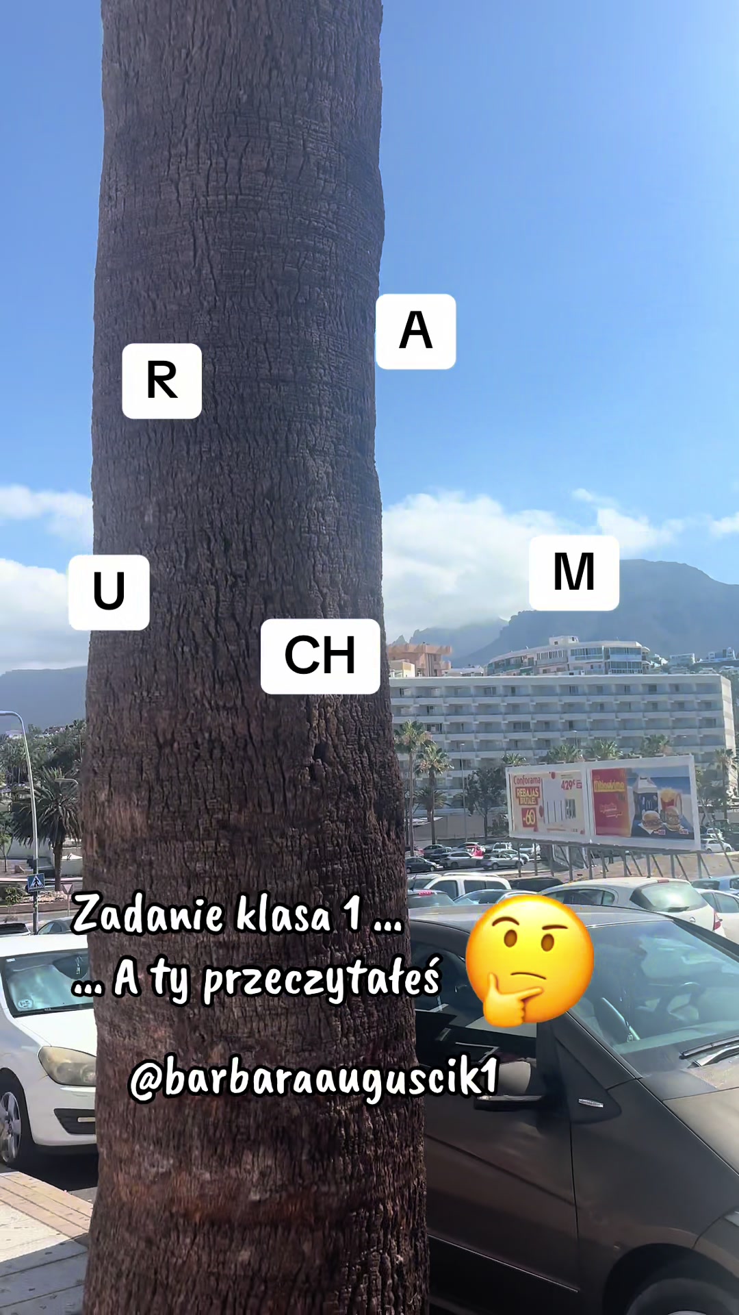 @barbaraauguscik1🇵🇱🇩🇪