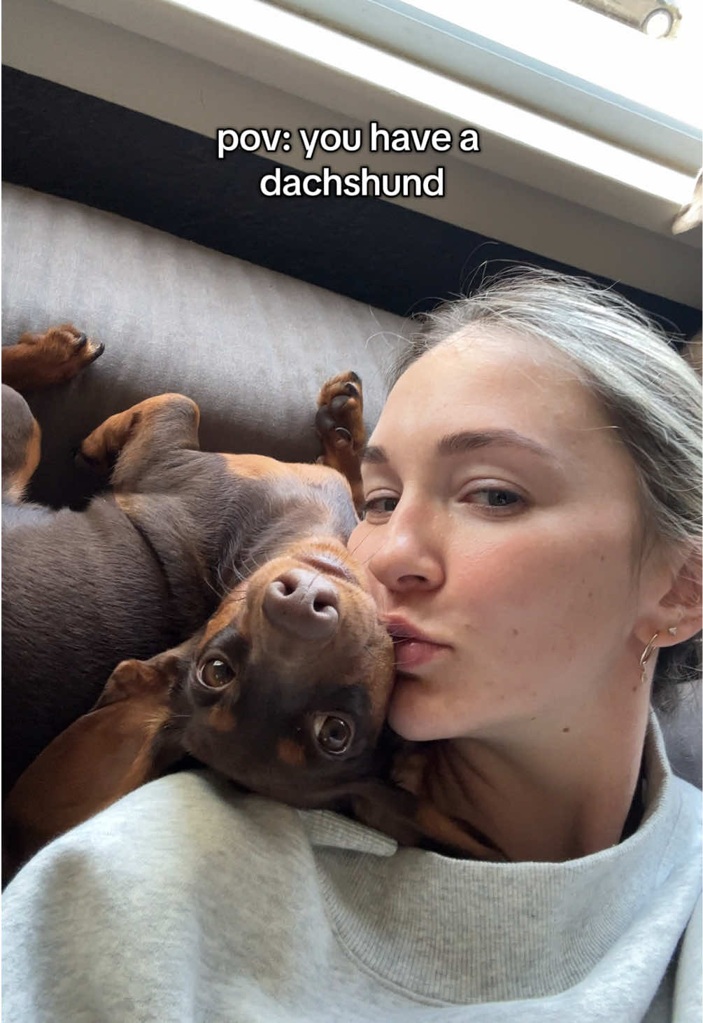 @rhubarb the doggo